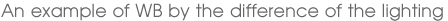 An example of WB by the difference of the lighting