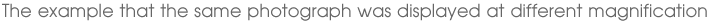 The example that the same photograph was displayed at different magnification
