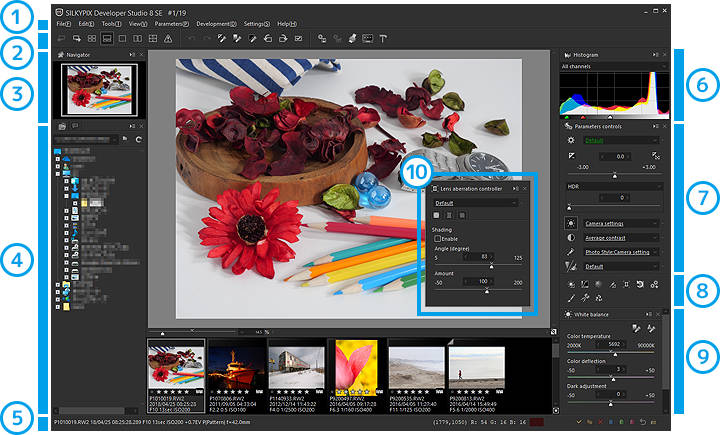 silkypix developer studio pro 8 manual pdf