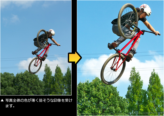 POINT:1 作例