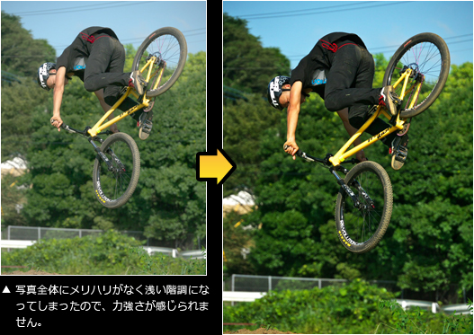 POINT:3 作例