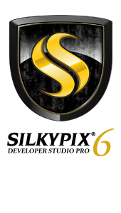 Developer Studio Pro6