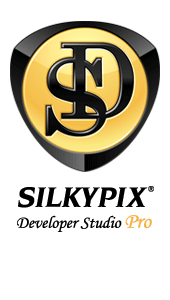 Developer Studio Pro