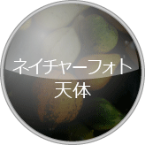 ネイチャーフォト・天体