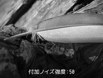 付加ノイズ強度:50