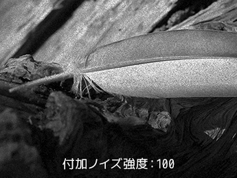 付加ノイズ強度:100