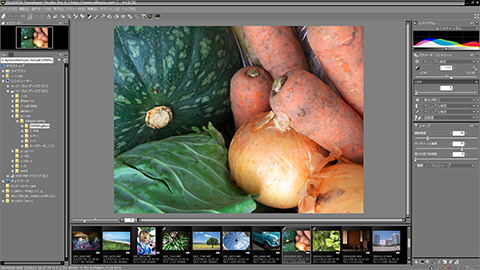 SILKYPIX Developer Studio の再起動