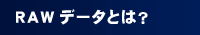 RAWf[^Ƃ́H