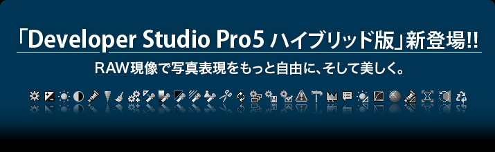 Developer Studio Pro5 Windows/Macintosh nCubhpbP[W Vo!!
