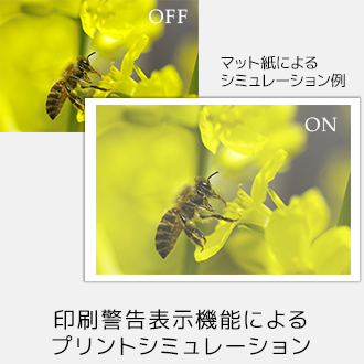 v^v[t@\ɂvgV~[V