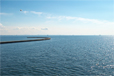 美浜大橋での撮影写真：1