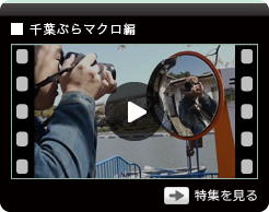 第二回：千葉ぶらマクロ編