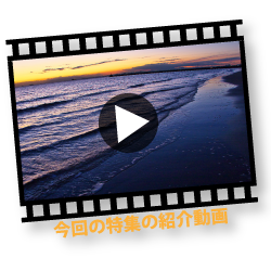 動画を再生