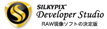 掿RAW\tguDeveloper Studiov