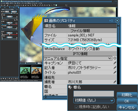 SILKYPIX Developer Studio WebTCg͂炩