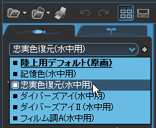 水中用テイスト