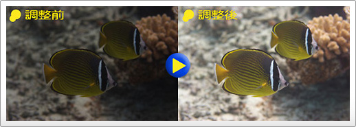 邳̒