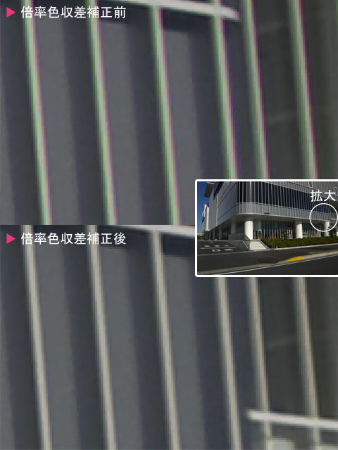 {F␳
